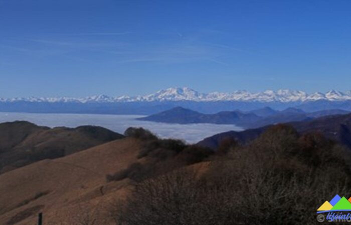 Monte Rosa Visto dal Monte Boleto