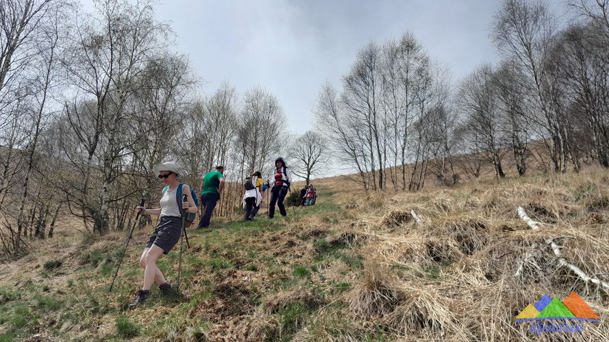 Discesa dal Monte Boleto