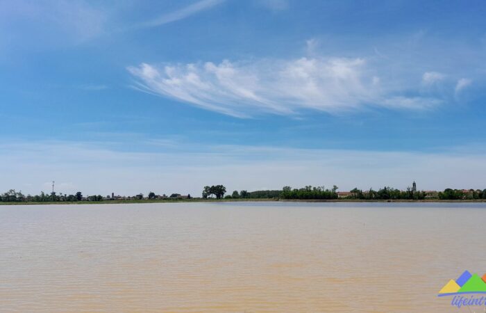 Risaia Allagata con Acqua Morimondo