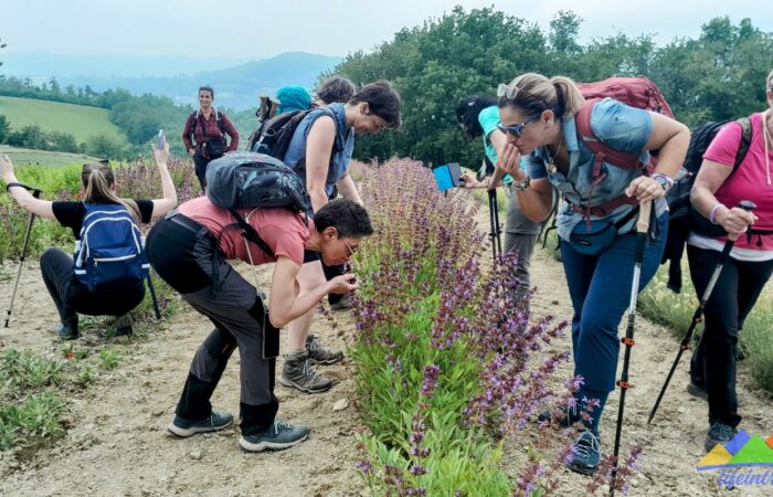Trekking Alte Langhe Sale San Giovanni