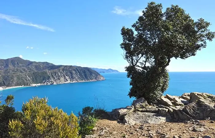 Punta Manara Traversata Sentiero Verde Azzurro Liguria Gruppo Escursionsitico