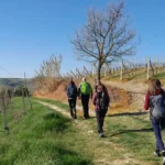 Trekking Alice Bel Colle Maranzana