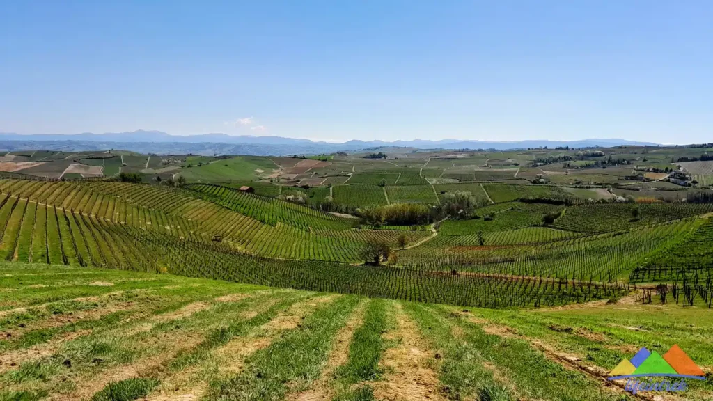 Trek Alice Bel Colle Vigneti di Maranzana