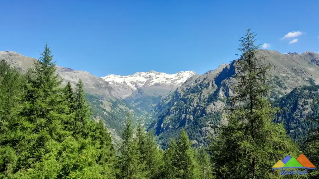 Escursione Punta Della Regina, da Valle Di Gressoney ed Estoul