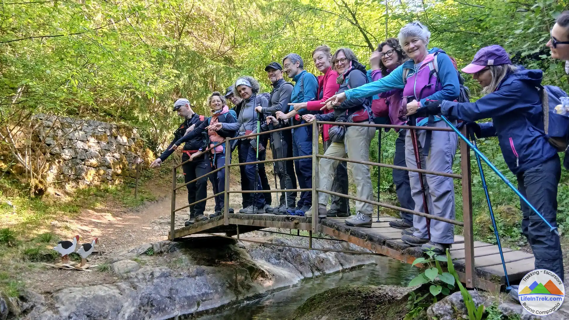 Trekking Cison Via e sentiero dell'Acqua Valdobbiadene
