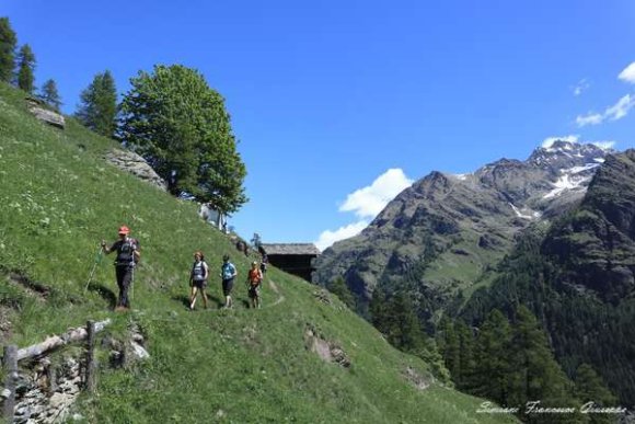 Sentiero Walser Alpenzu