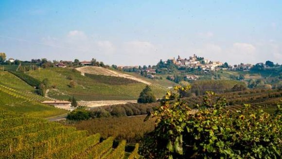 Sentieri del barbaresco