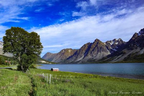 Norvegia Fiordi Trekking