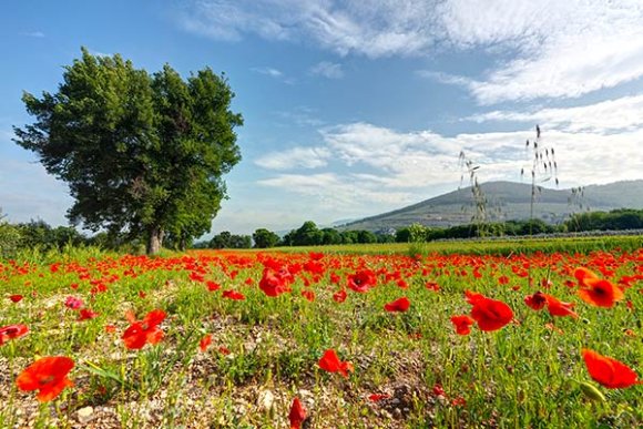 5 giorni di escursioni in Umbria