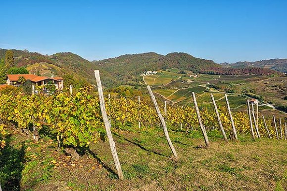 Trek del Barolo