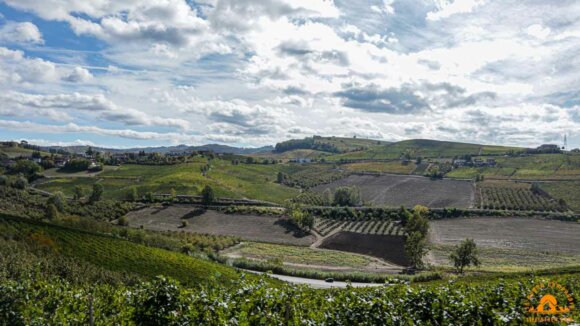 Trekking Del Barbaresco DOm 12 Novembre 2023