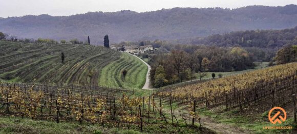 Montevecchia Del Curone