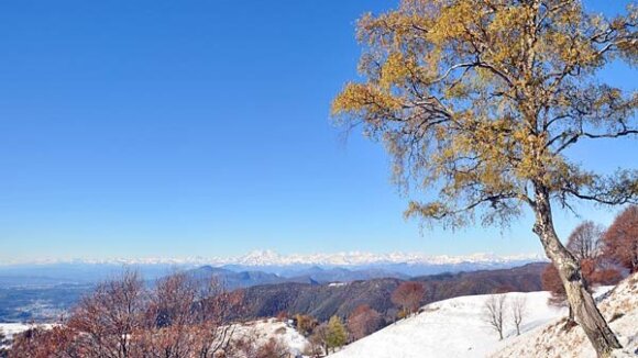 Monte Bisbino