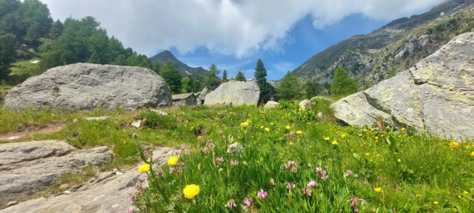 Vallone Di San Grato 9